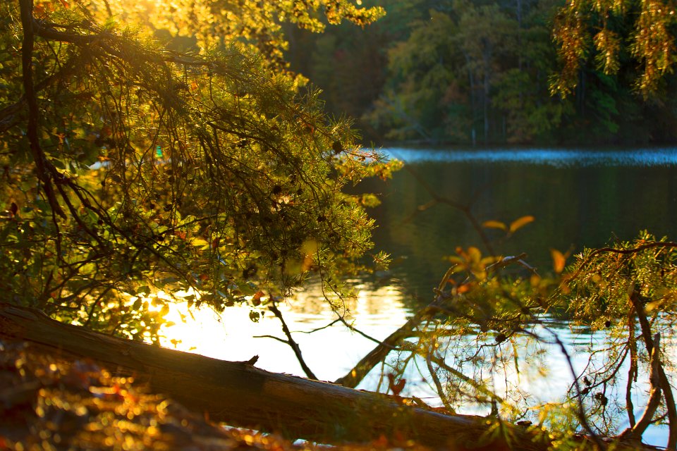 The nol, Trail, Newport news