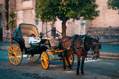 Spain, Plaza virgen de los reyes, Sevilla