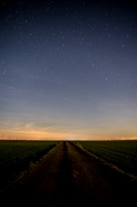 green grass field under blue sky during night time photo