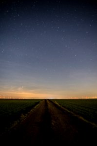 green grass field under blue sky during night time