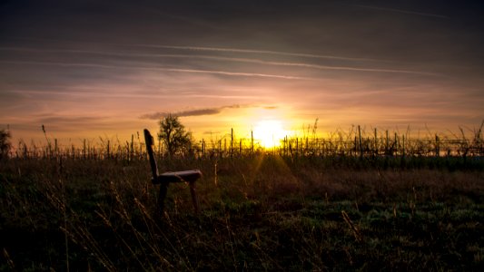 brown wooden chair on green grass field during sunset photo