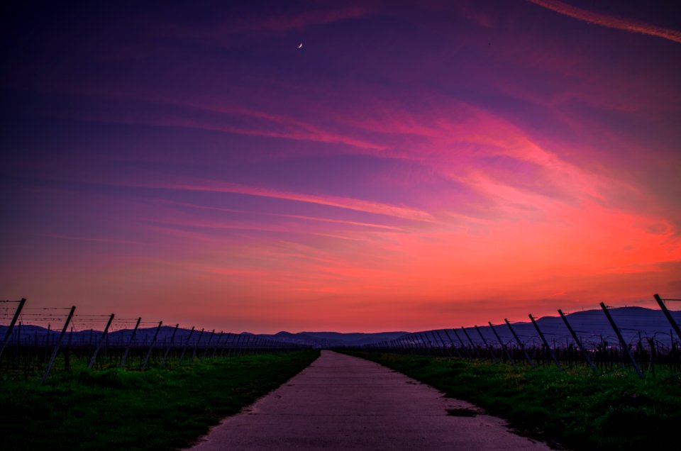 green grass field during sunset