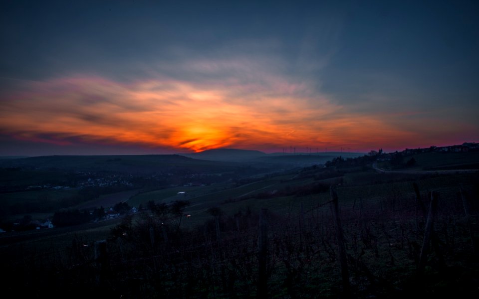 aerial view of trees during sunset photo