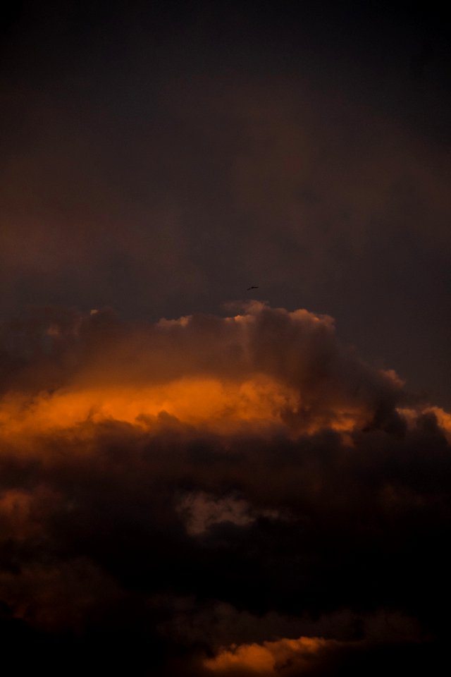 white clouds and blue sky photo