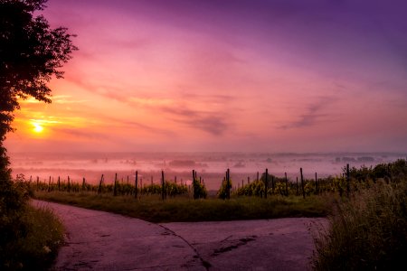 gray asphalt road between green grass field during sunset photo