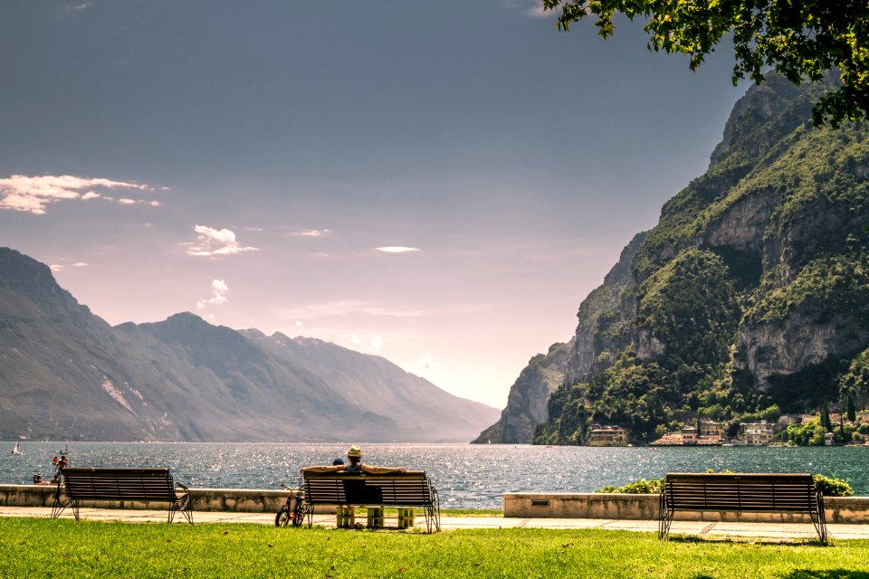 brown wooden bench on green grass field near body of water during daytime photo