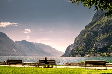brown wooden bench on green grass field near body of water during daytime photo