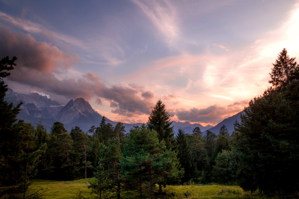 pine trees and mountain during daytime