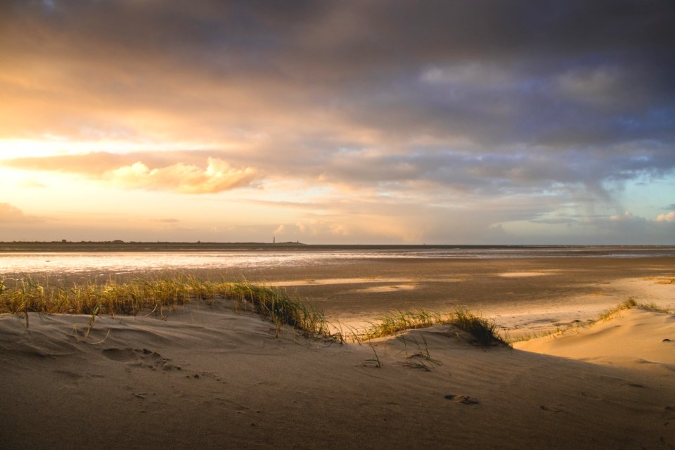 brown sand near body of water during daytime