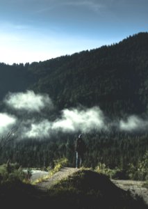 man standing near tall trees mountain during daytime photo