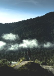 man standing near tall trees mountain during daytime
