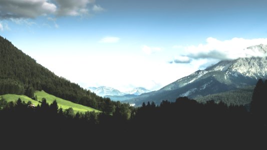 aerial photo of forest during daytime photo