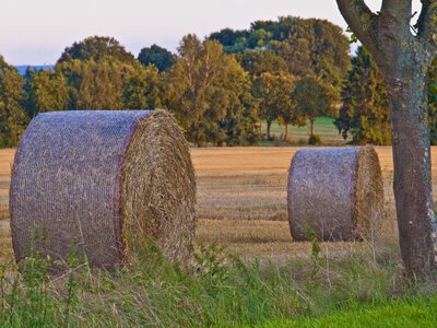 Nature agriculture autumn