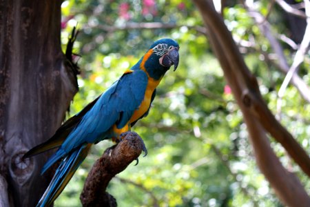 Fort worth zoo, Fort worth, United states