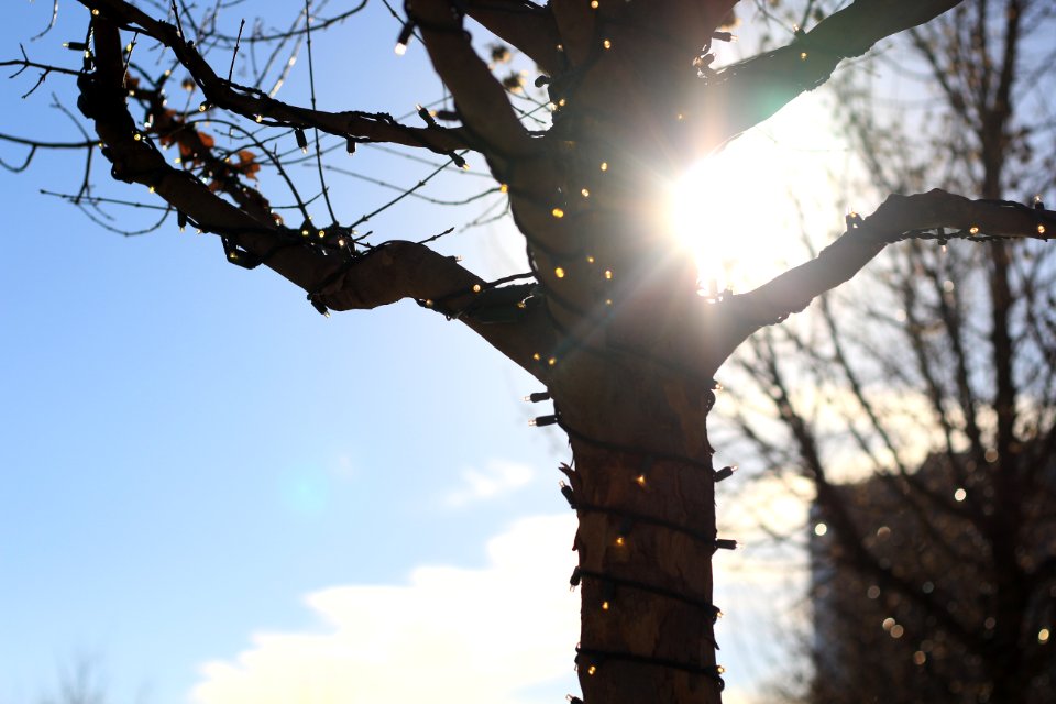 Sun, Bright, Outside