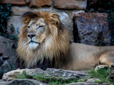 Fort worth zoo, Fort worth, United states photo