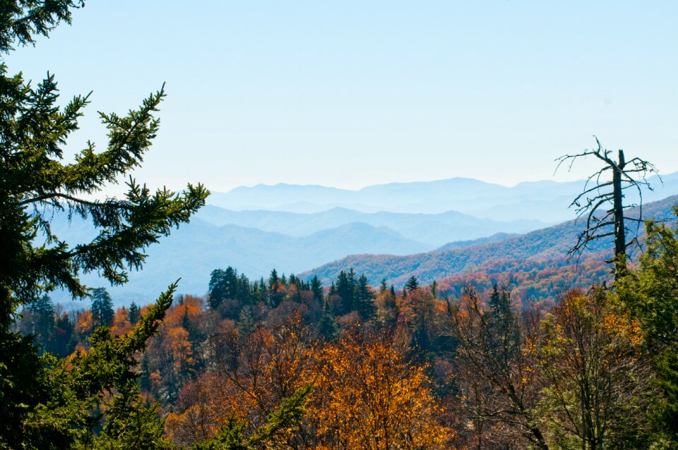 Smoky mountains scenic foliage