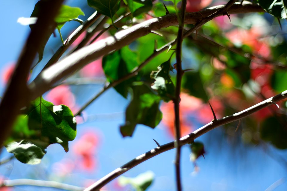 Colorful, Bright, Blue
