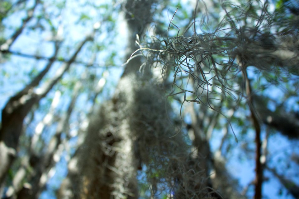 Texture, Outdoor, Outside