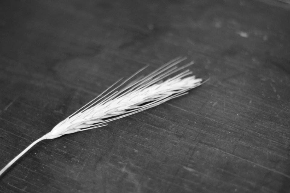 Detail, White, Black