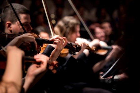 people playing violin inside dim room