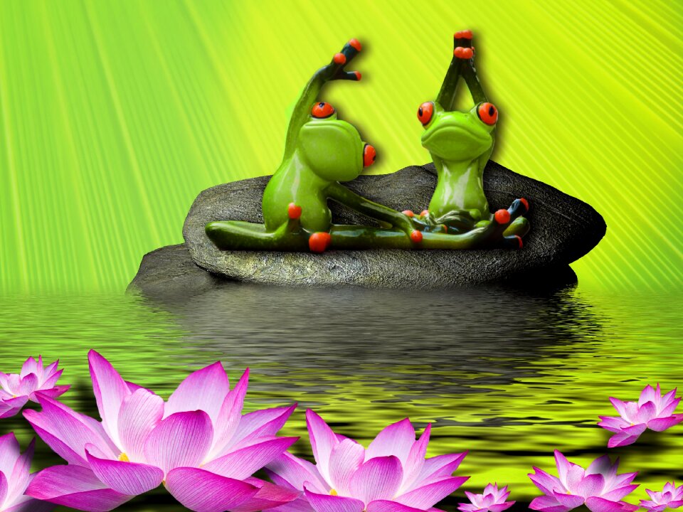 Gymnastics frog funny