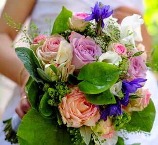 Colorful love wedding