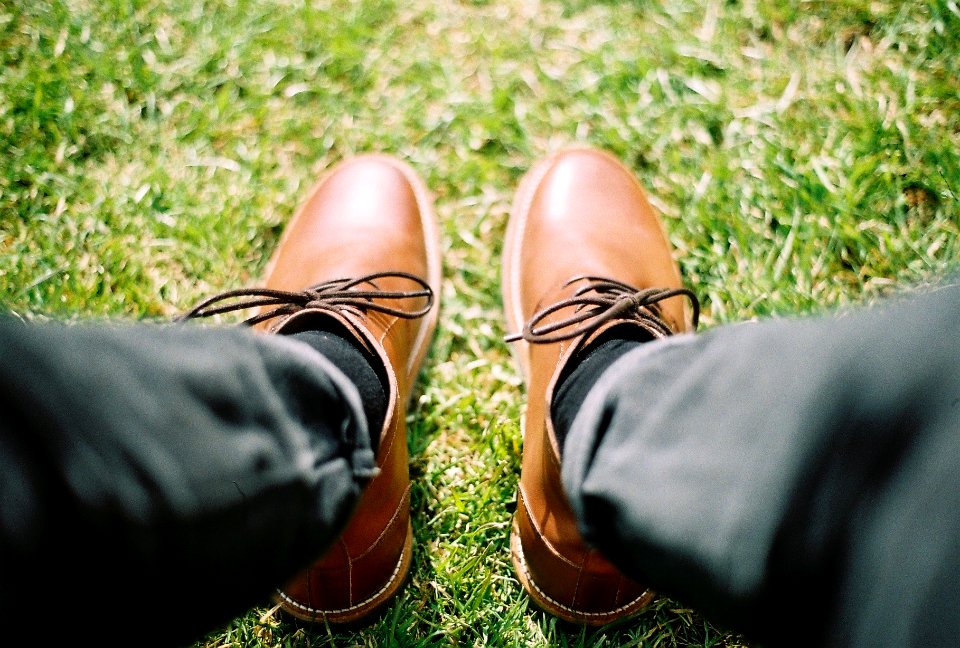 Boots, Bow, Shoes photo