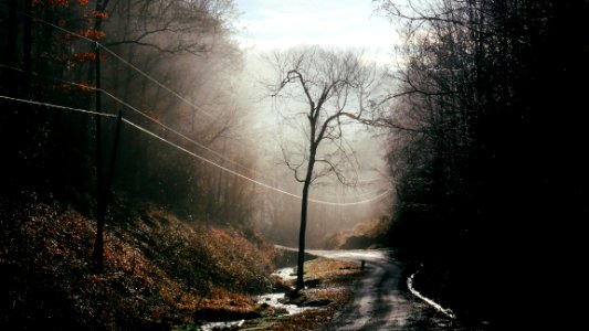 Great smoky mountains national park, United states, Power lines photo