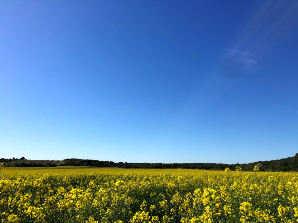 Lanonprovence, Provencealpescte dazur, France