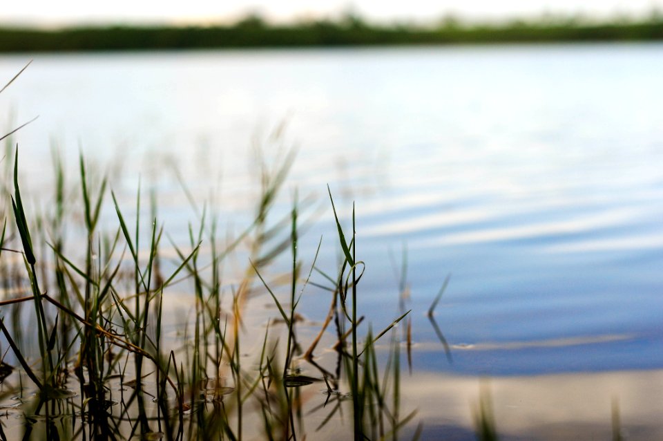Lake