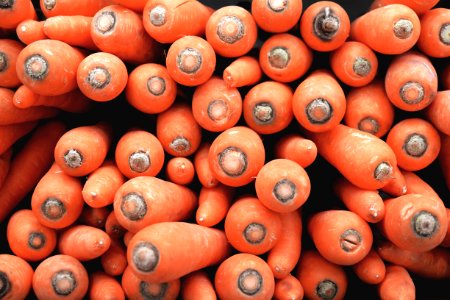bunch of carrots photo