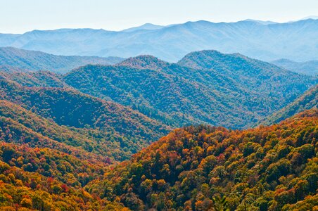 Smoky mountains scenic foliage photo