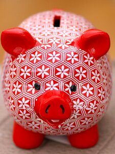 Save pig money photo