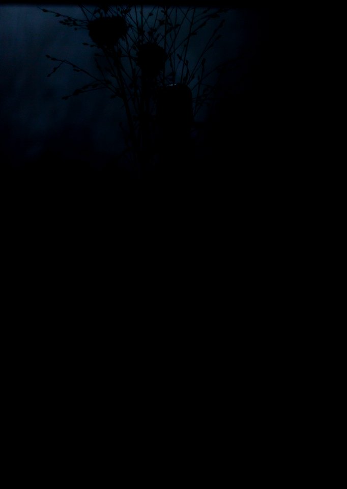 Moody, Dark, Bottle
