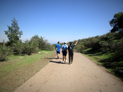 Travellers, Nature, Walk