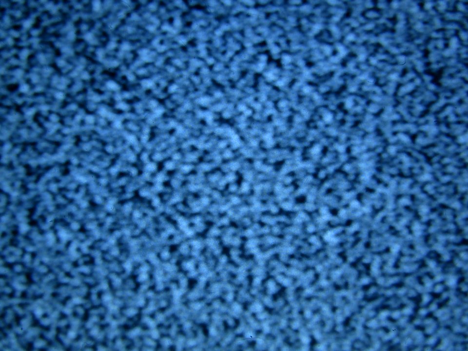 Signal, White noise, Noise