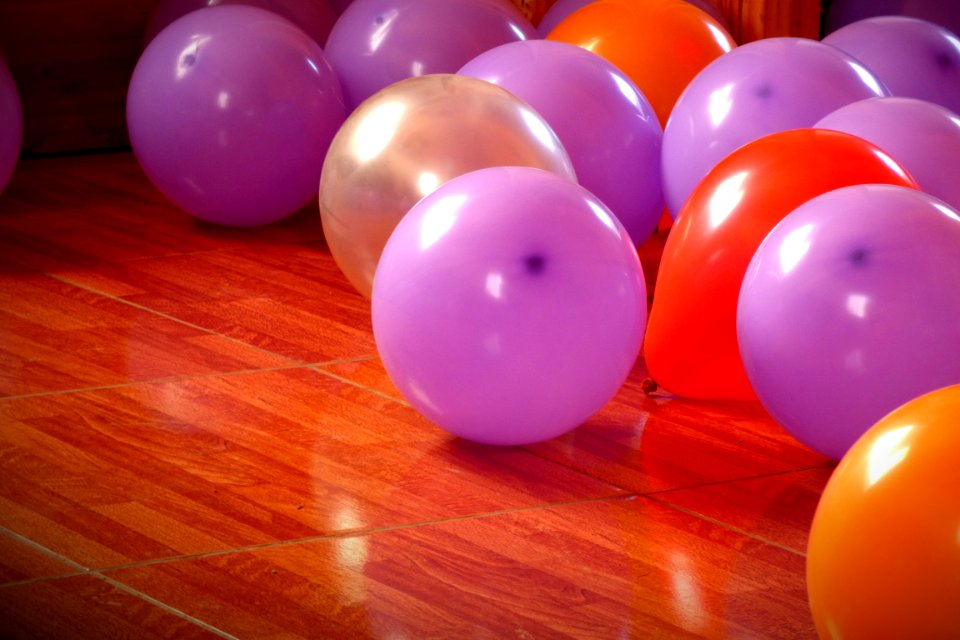Violet, Colour, Color