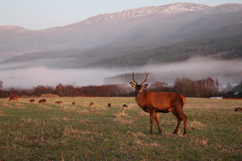 Peacefulness norway nordic