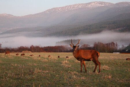 Peacefulness norway nordic