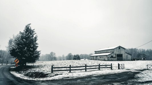 Phillips trail, Greenville, United states