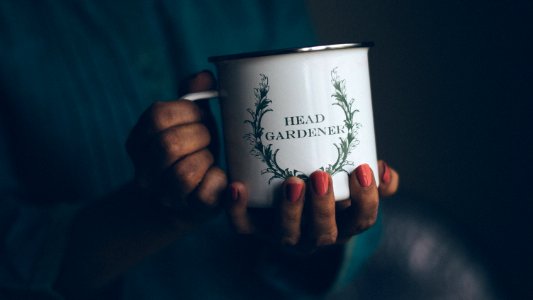 person holding white coffee mug photo