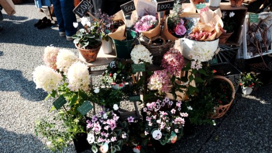 Bouquet, Vintage market, Flowers photo