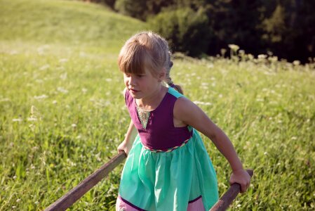 Nature meadow summer