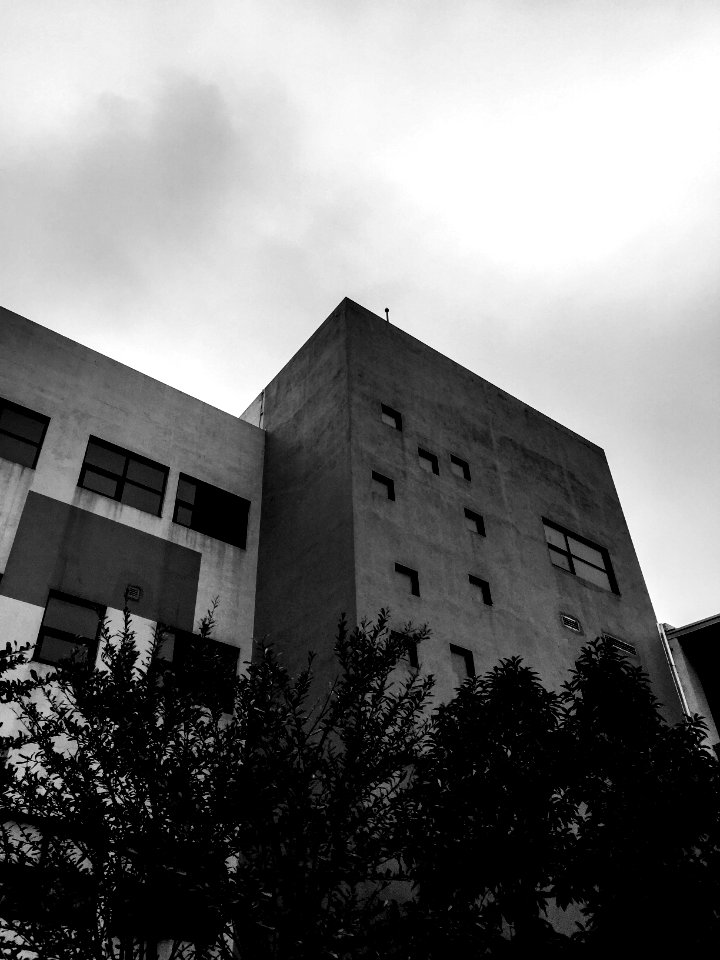 School, Building, Tree