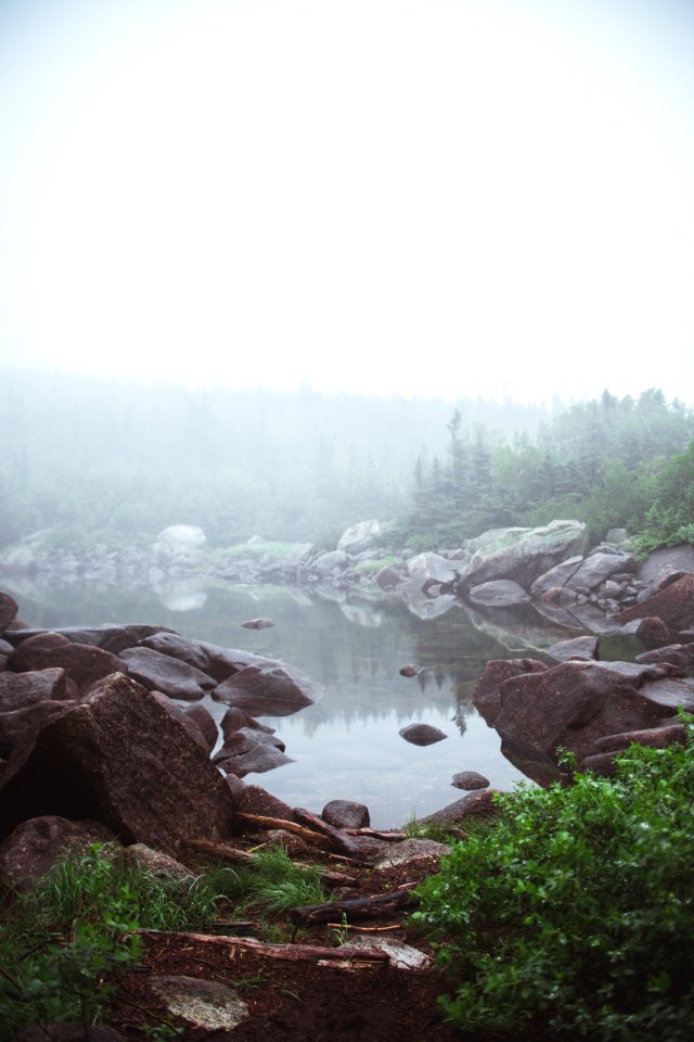 Cold, Rain, Gloom