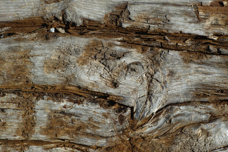 Wood texture pattern