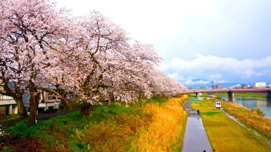 Fukui, Japan