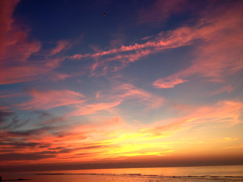 Barnstable county, United states, Cotton c
