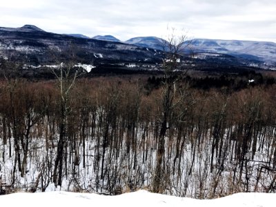 Catskill, United states, Nature